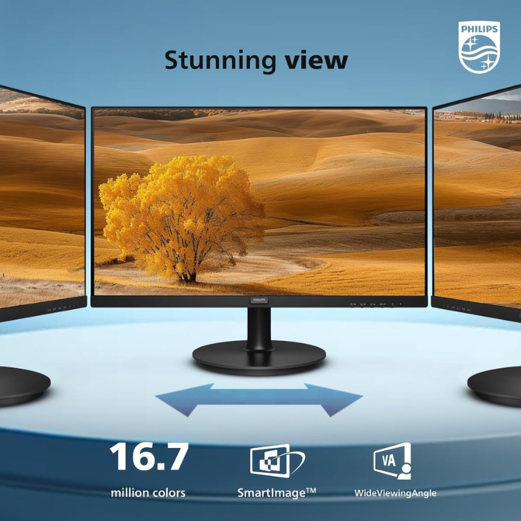 Philips 241V8LB - Écran Ordi PC 24” Sans Bord - 1080p - 100Hz