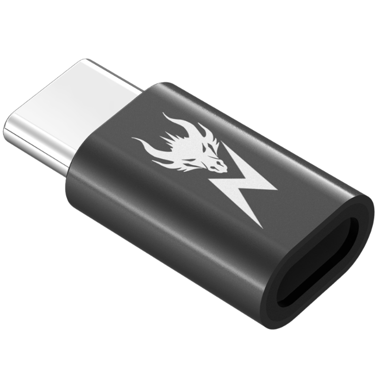 AmpNergy Passport Adaptateur Lightning vers USB-C