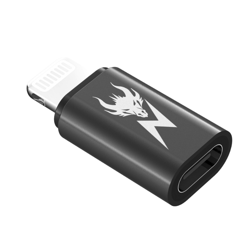 AmpNergy Passport Adaptateur USB-C vers Lightning