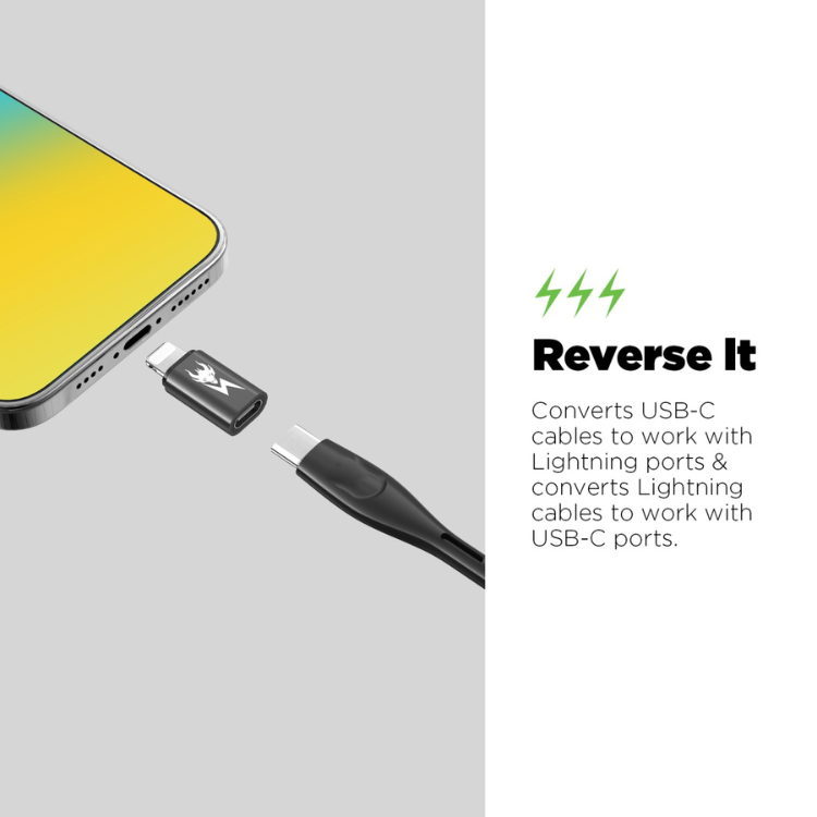 AmpNergy Passport Adaptateur USB-C vers Lightning