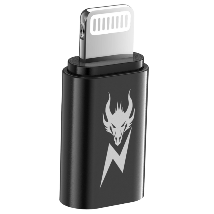 AmpNergy Passport Adaptateur USB-C vers Lightning