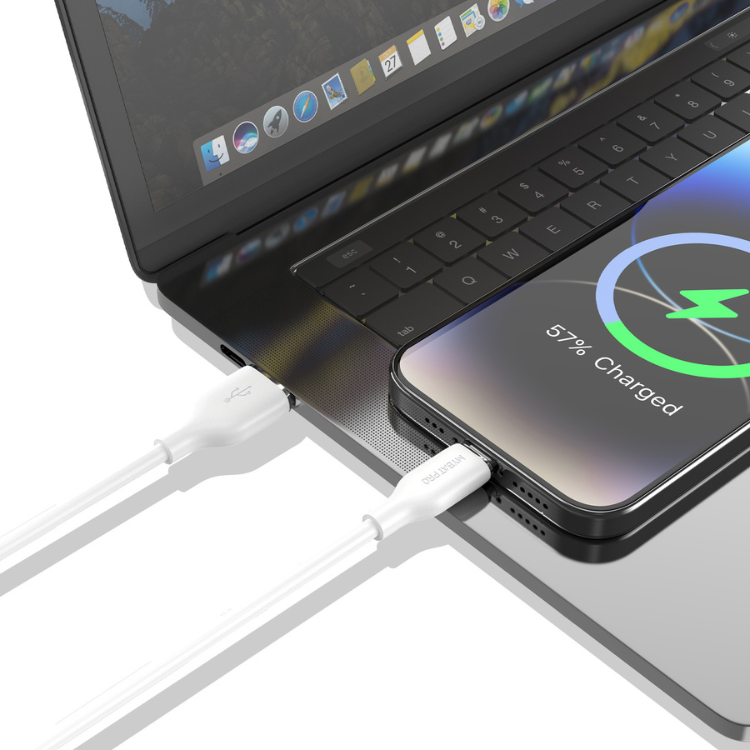 MyBat Pro Câble USB-A vers USB-C 1m