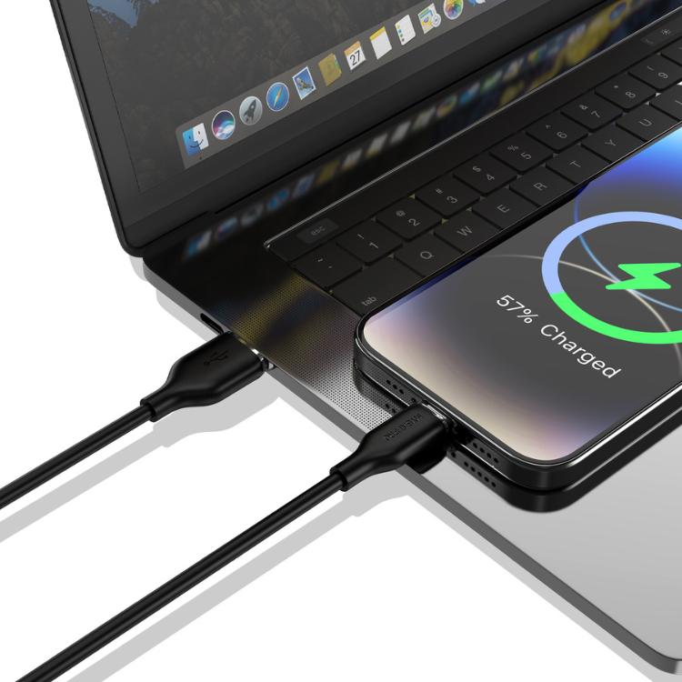MyBat Pro Câble USB-A vers USB-C 1m